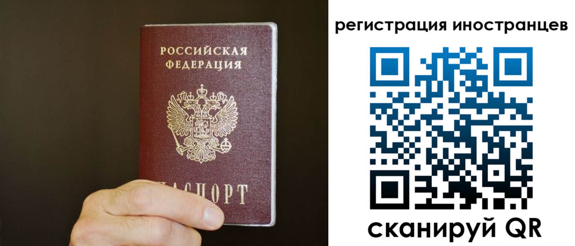 прописка в Сосновке